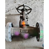 سوزنی 2 اینچ کلاس 600 LF2  Trim  316  NEWAY